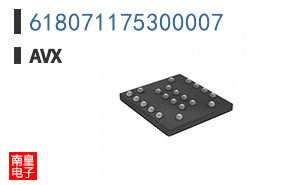 618071175300007