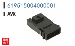 619515004000001