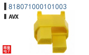 818071000101003