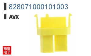 828071000101003