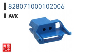 828071000102006