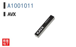 A1001011
