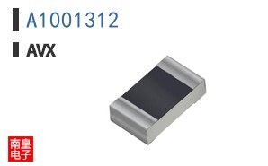 A1001312