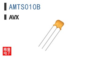 AMTS010B
