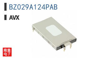 BZ029A124PAB