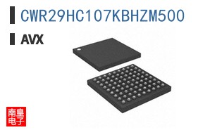 CWR29HC107KBHZM500