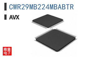 CWR29MB224MBABTR