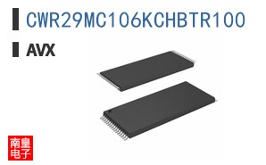 CWR29MC106KCHBTR100