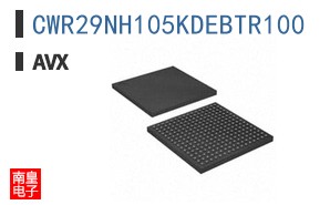 CWR29NH105KDEBTR100