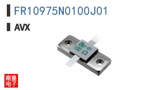 FR10975N0100J01