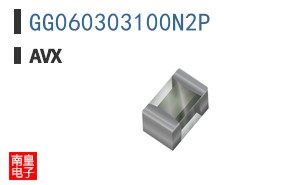 GG060303100N2P