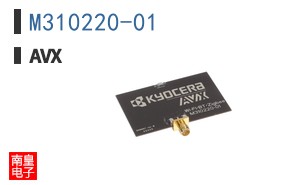 M310220-01