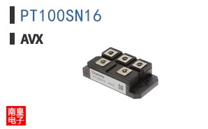 PT100SN16