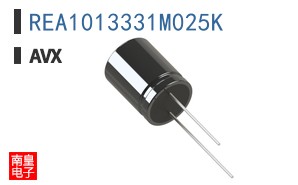 REA1013331M025K