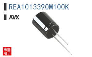 REA1013390M100K