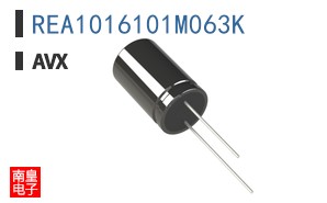 REA1016101M063K