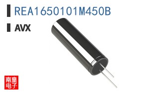 REA1650101M450B