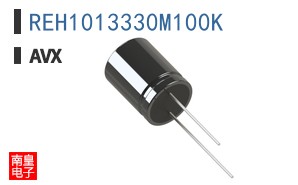 REH1013330M100K