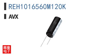 REH1016560M120K