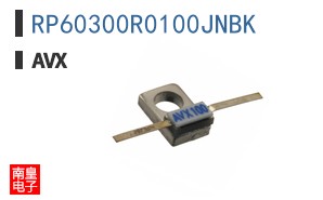 RP60300R0100JNBK