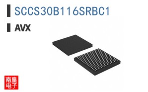 SCCS30B116SRBC1