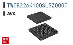 TWCB226K100SLSZ0000