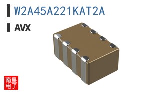 W2A45A221KAT2A