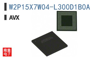 W2P15X7W04-L300D1B0A