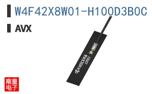 W4F42X8W01-H100D3B0C