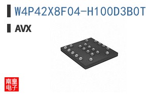W4P42X8F04-H100D3B0T