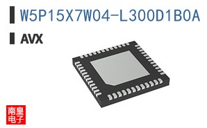 W5P15X7W04-L300D1B0A