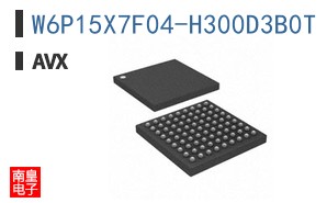 W6P15X7F04-H300D3B0T
