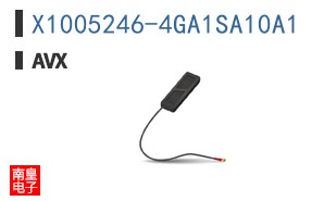X1005246-4GA1SA10A1