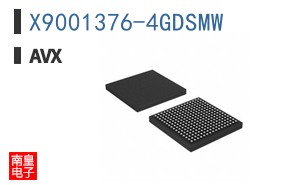 X9001376-4GDSMW