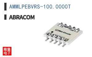 AMMLPEBVRS-100.0000T