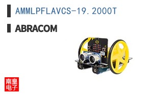 AMMLPFLAVCS-19.2000T