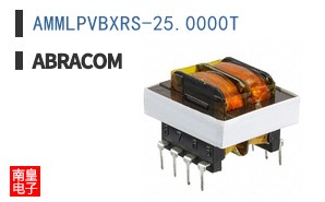 AMMLPVBXRS-25.0000T