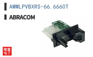 AMMLPVBXRS-66.6660T
