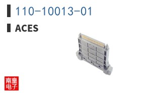 110-10013-01