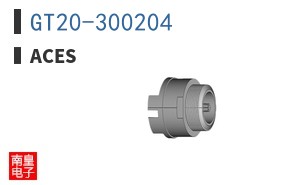 GT20-300204