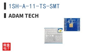 1SH-A-11-TS-SMT