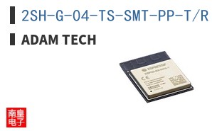 2SH-G-04-TS-SMT-PP-T/R