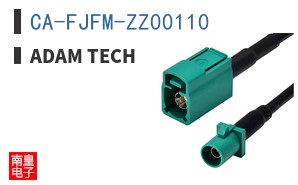 CA-FJFM-ZZ00110