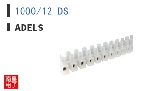 1000/12 DS
