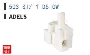 503 SI/ 1 DS GW