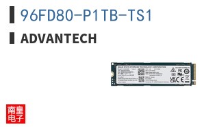 96FD80-P1TB-TS1