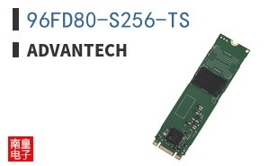 96FD80-S256-TS