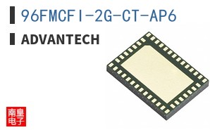 96FMCFI-2G-CT-AP6