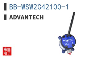 BB-WSW2C42100-1