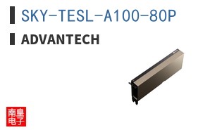 SKY-TESL-A100-80P